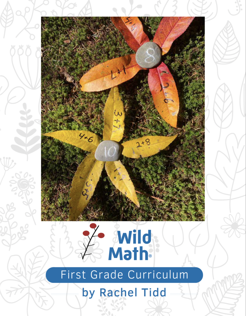 Wild Math Curriculum First Grade Wild Learning