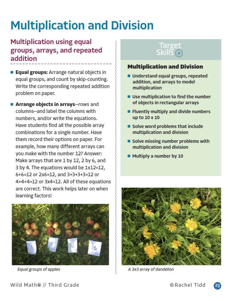 Wild Math Curriculum: Third Grade | Wild Learning