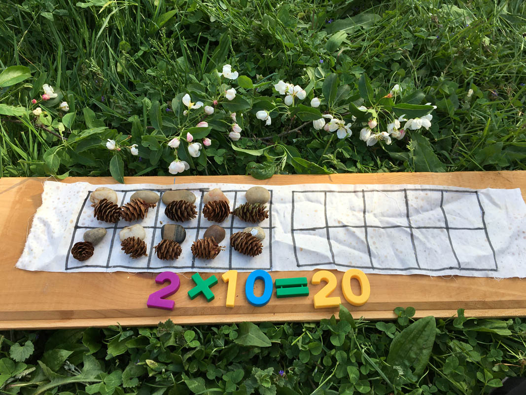 Wild Math Wild Learning