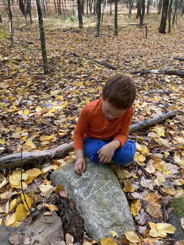 Wild Reading Wild Learning