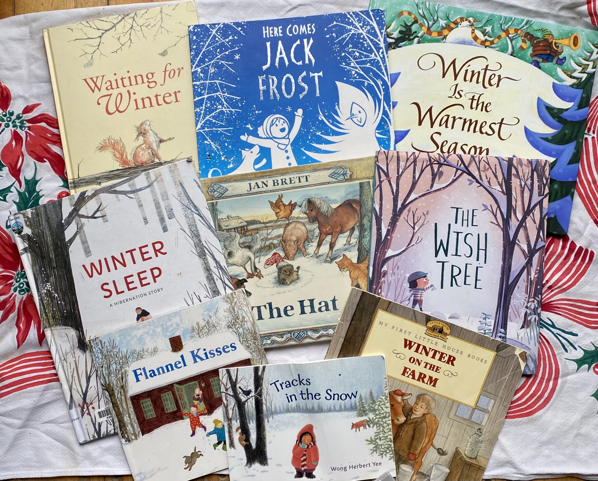 Winter Picture Book List Wild Learning