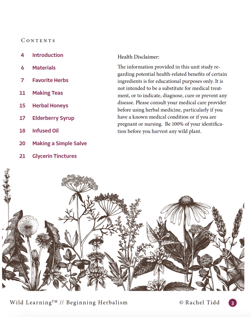 Beginning Herbalism Unit | Wild Learning