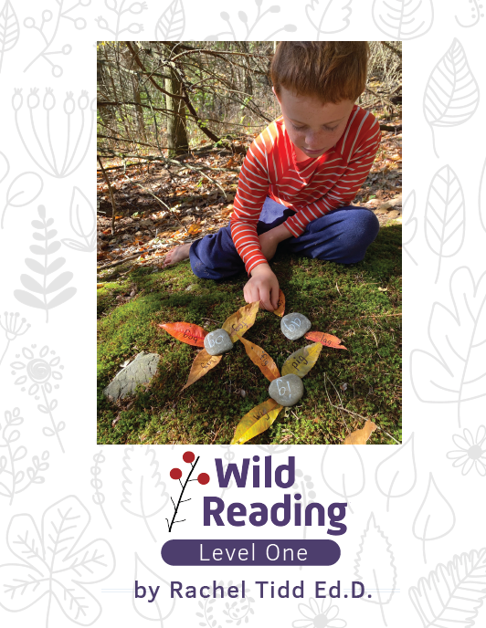 Wild Reading Curriculum Level 1