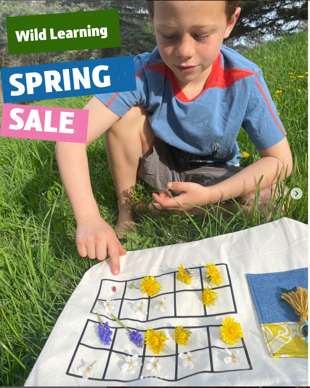 Wild Learning | Wild Learning