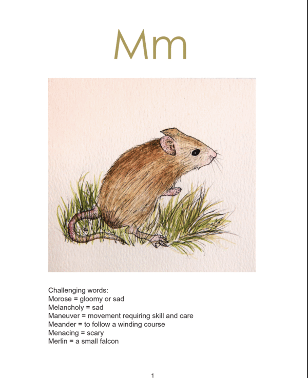 Tilda Trekker's Marvelous Adventure Early Literacy Alphabet Book - Image 2